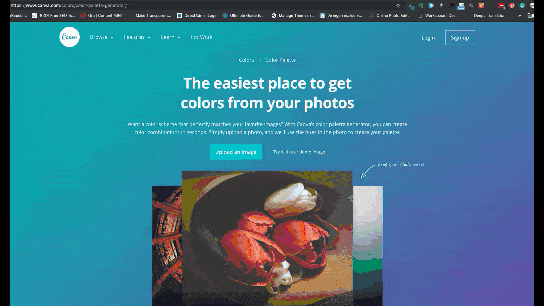Canva gebruiken om de kleuren te vinden in een foto of logo